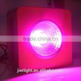64*3W Greenhouse LED Grow Light 450w Led Grow Light thumbnail-4
