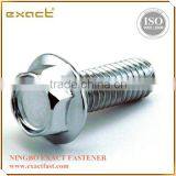 Hex Flange Bolts DIN6921 thumbnail-1