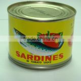 canned sardine fish