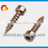 Hex Slot Self Tapping Screw With Nickel