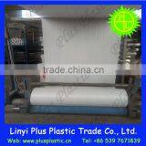 Good Quality PP Spunbond Non Woven Fabric Rolls thumbnail-6