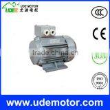 Y2 Series General Use Electric Motors thumbnail-4
