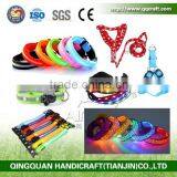 QQ Pet Product Manufacturer Lighted Flashing 6 Led Pet Dog Safety Leash With Reflective Tape thumbnail-3