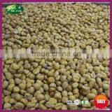 IQF Peeled Roasted Chinese Chestnuts