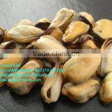 Good Taste Half Shell On Mussels,Mussel Meat thumbnail-2