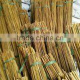 natural eco friendly bamboo poles