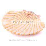 2015 Ocean Series Design Resin Bathroom Accessories Set thumbnail-4