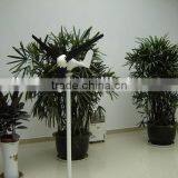 300w Mini Wind Generator thumbnail-1