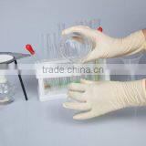 High Quality Disposable Latex Food Grade And Industrial Grade Latex Gloves China Medical Latex Gloves thumbnail-5