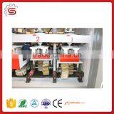 Drum Sander Machine STR13002Z-2O-2R Drum Sander for Woodworking thumbnail-2