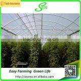 Low Cost Greenhouse Tunnels Polytunnel Green House thumbnail-2