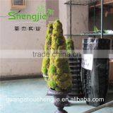 SJLJ013241 Plastic Moss Plant / Artificial Plant for Home Garden Decoration thumbnail-3