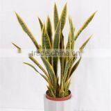 CHY300928 Artificial High Initation Office Decorative Sanseviera Bonsai Foliage Plant thumbnail-3