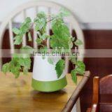 Swing Self-watering Flower Pot Easy to See Lack of Water thumbnail-4