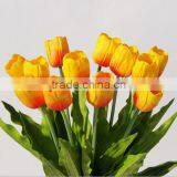 PU Dutch Tulip thumbnail-1