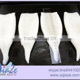 Frozen Squid Tube U5 U7 U10 U20 thumbnail-2