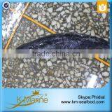 Top Quality Whole Round Bullet Tuna thumbnail-5