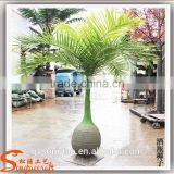 Make Cheap Indoor and Outdoor Artificial Bottle Palm Tree Wholesale