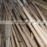 Raw White Malacca Cane thumbnail-1