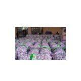 Pizhou Tianyuan Trade Garlic Co.,ltd company overview - view 1 thumbnail