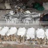 Online Wholesale Shop Rabbit Fur Skins and Rabbit Skins for Plate, for Garment thumbnail-2