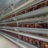 Steel Structure Chicken House Design Chicken House for Sale Cage Layer Chicken House China thumbnail-5