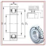 INA Bearing thumbnail-1