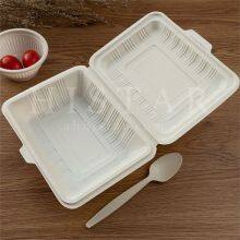 Organic Takeaway Disposable Food Containers thumbnail-1