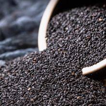 Black Sesame thumbnail-1