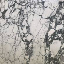 Italy Arabescato White Marble Polished Marble Slabs thumbnail-4
