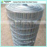 High Quality Welded Wire Mesh for Construction (Anping Factory)