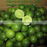 SPECIAL _ *FRESH SEEDLESS LIME* _ HIGHT QUALITY _ GOOD PRICE