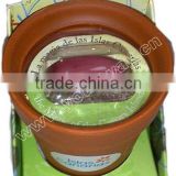 Figurine Pot Magic Bean,lover Mini Plant,jack Bean thumbnail-1