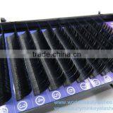 Best Quality Ellipse Flat Eyelash Extensions Makeup Individual Silk Lashes Wholesale Prices Cashmere Volume Lashes thumbnail-2