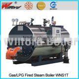 2016 Made in China Manufacturer Gas Steam Boiler /Oil Fired Steam Boiler for Sale
