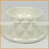 Small White Ceramic Pet Bowl for Dogs and Cats Wholesale