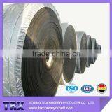 Oil Resistant Conveyor Belt for Soybean Draff and Fish Meat thumbnail-2