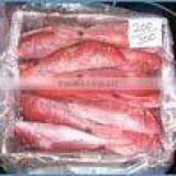 Red Mullet thumbnail-1