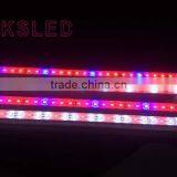 Waterproof Flower Plant,leaf Plant Grow Light Strip Lighting Red:Blue,6:1 8:1 9:1 thumbnail-6