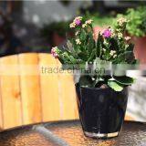 High Quality Various Color Garden Pots for Sale Planting Pots Cheap Plant Pot thumbnail-4