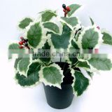 H24cm Plastic Red Berries/Holly Leaves Bush x 7 with Black Plastic Pot for Christmas Decoration