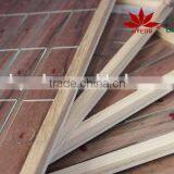 Individual Slides You Can Choose From Survey Medical Human Pathology Histology Tissue Microscope Prepared Slides thumbnail-4