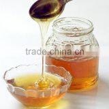 White Bee Honey thumbnail-1