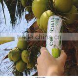 Canned Fresh Coconut Water 100% Coconut Water thumbnail-6