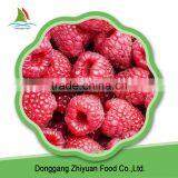 2016 New Crop IQF Frozen Raspberry on Sale thumbnail-4