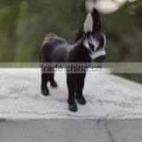 Low Price Useful Textile Donkey Plush Toys thumbnail-3