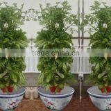 Family Gardening Service and Products thumbnail-2