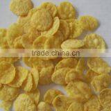 Puffed Breakfast Cereal Corn Flakes Processing Line thumbnail-6