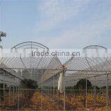 Chosen Greenhouse Project Mushroom Used Commercial Greenhouses thumbnail-6
