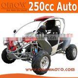 EEC 250cc Road Legal Dune Buggy thumbnail-1